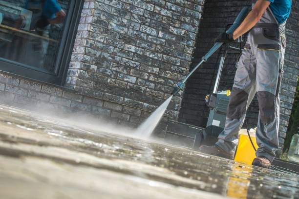 Best House Exterior Washing  in Orangetree, FL