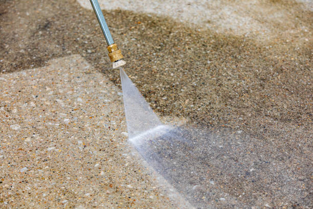 Pre-Holiday Cleaning in Orangetree, FL