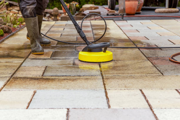 Best Solar Panel Cleaning  in Orangetree, FL